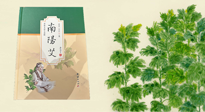 【行業(yè)資訊】國內首部艾草專著《南陽艾》，在南陽新書首發(fā)！